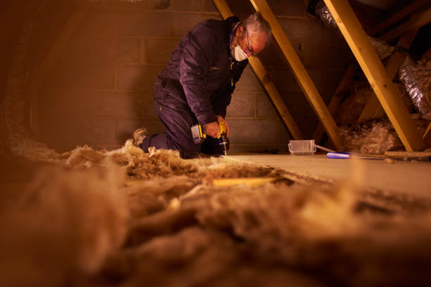 Best Insulation for New Construction  in Chackbay, LA