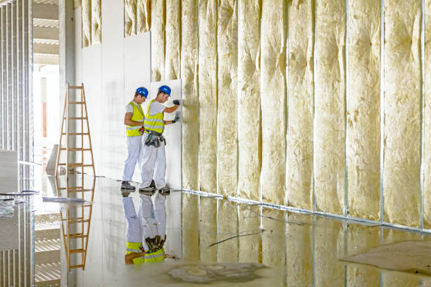 Insulation Contractors for Homes in Chackbay, LA